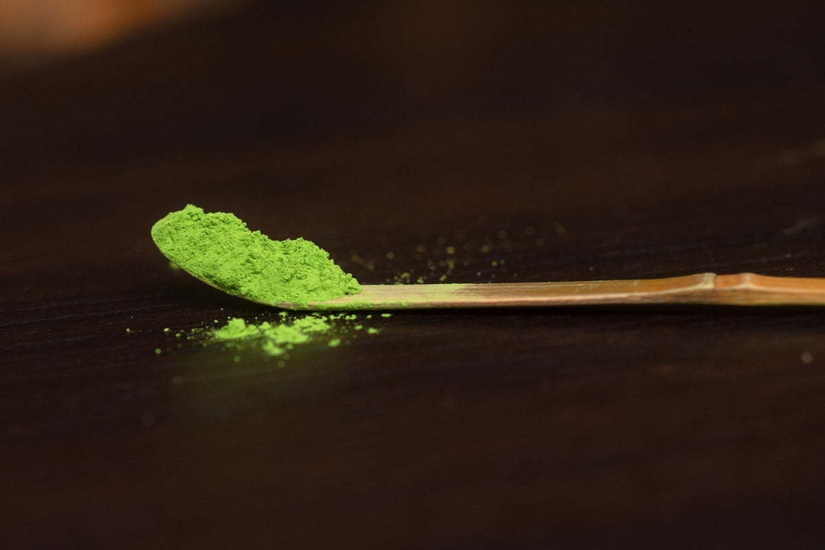 A scoop of matcha powder on the bamboo chashaku